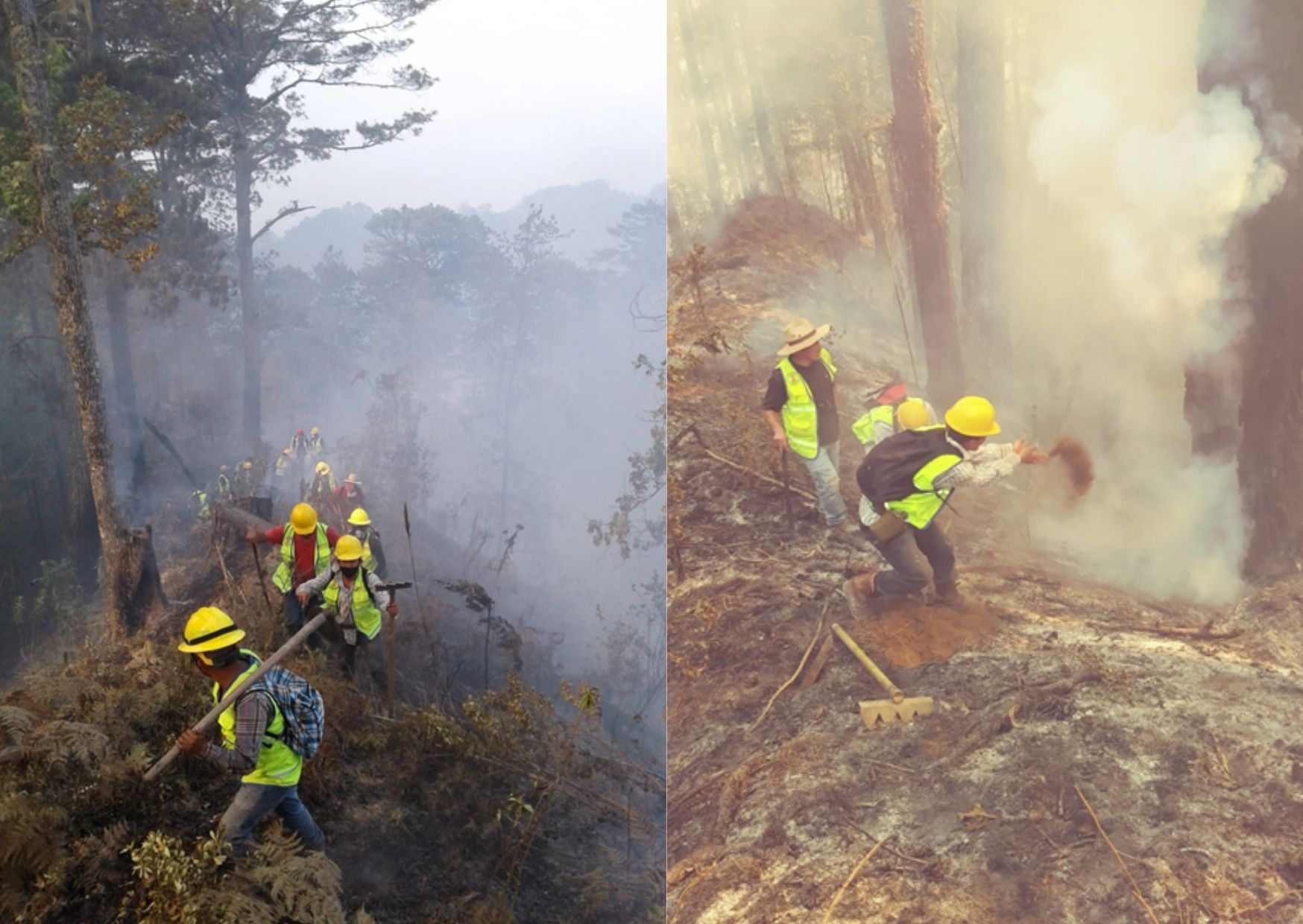 Forest rangers from the Environment Department extinguishing a wildfire at El Merendón Natural Reserve . Photo: SIDEYTMS