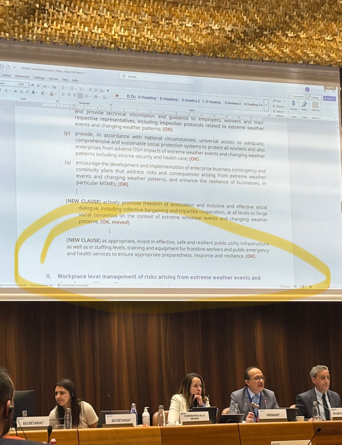 PSI was able to influence the ILO meeting to include language in the new guidance which promotes investment in public services and safer staffing levels, as two practical methods for limiting the potential occupational health and safety risks faced by public sector workers